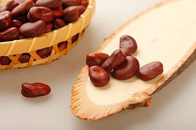 玩家扬言要起诉FS社 因《艾尔登法环》难度过高让其无法体验隐藏内容