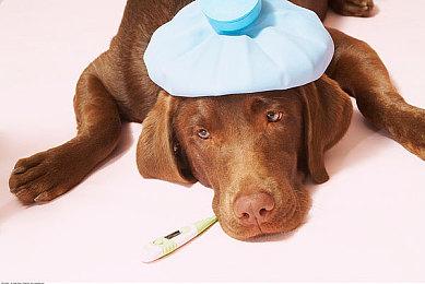 次世代《三维弹球FX》现已在Epic商城免费推出 支持中文